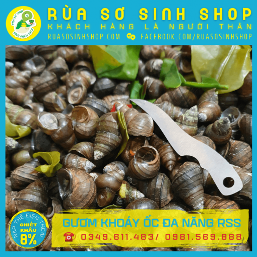 01. Guom khoay oc da nang RSS ruasosinhshop (1)