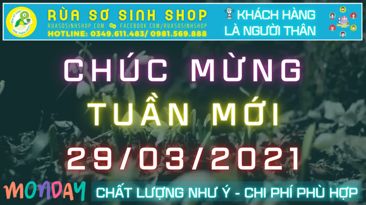 Rùa Sơ Sinh Shop chúc mừng Tuần mới 29.03.2021