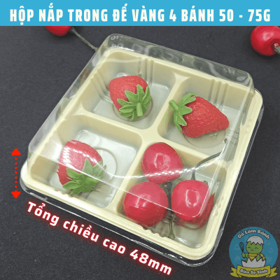 Hop nap trong de vang 4 banh 50 - 75g ruasosinhshop (1)